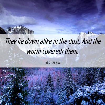 Picture 06 - Job 21:26 ASV - They lie down alike in the dust, And the worm - Bible Verse Picture