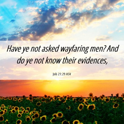 Picture 06 - Job 21:29 ASV - Have ye not asked wayfaring men? And do ye not - Bible Verse Picture