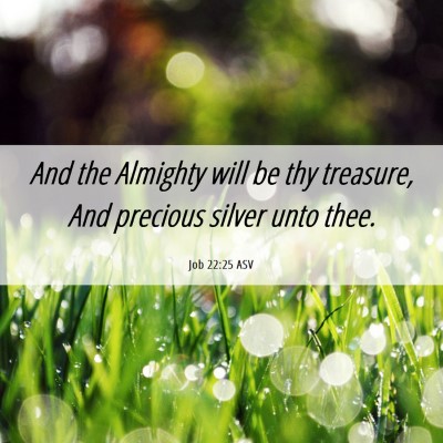 Picture 06 - Job 22:25 ASV - And the Almighty will be thy treasure, And - Bible Verse Picture