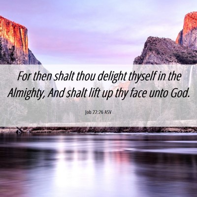 Picture 06 - Job 22:26 ASV - For then shalt thou delight thyself in the - Bible Verse Picture