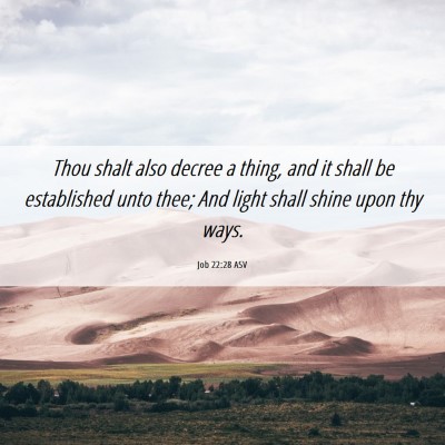 Picture 06 - Job 22:28 ASV - Thou shalt also decree a thing, and it shall be - Bible Verse Picture