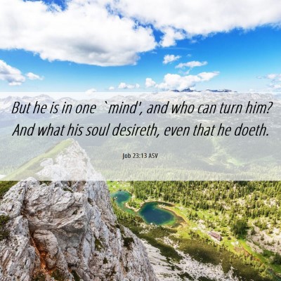 Picture 06 - Job 23:13 ASV - But he is in one `mind', and who can turn him? - Bible Verse Picture