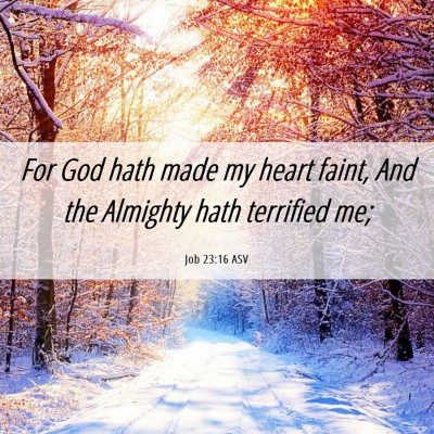 Picture 06 - Job 23:16 ASV - For God hath made my heart faint, And the - Bible Verse Picture