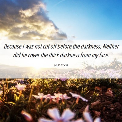 Picture 06 - Job 23:17 ASV - Because I was not cut off before the darkness, - Bible Verse Picture