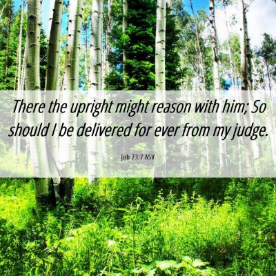 Picture 06 - Job 23:7 ASV - There the upright might reason with him; So - Bible Verse Picture