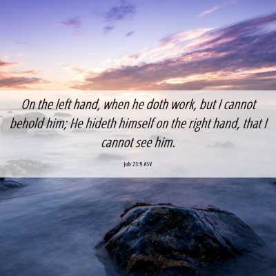 Picture 06 - Job 23:9 ASV - On the left hand, when he doth work, but I cannot - Bible Verse Picture