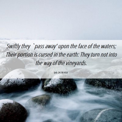 Picture 06 - Job 24:18 ASV - Swiftly they `pass away' upon the face of the - Bible Verse Picture