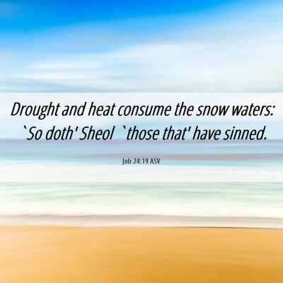 Picture 06 - Job 24:19 ASV - Drought and heat consume the snow waters: `So - Bible Verse Picture