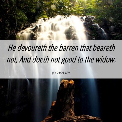 Picture 06 - Job 24:21 ASV - He devoureth the barren that beareth not, And - Bible Verse Picture