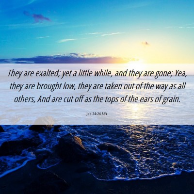 Picture 06 - Job 24:24 ASV - They are exalted; yet a little while, and they - Bible Verse Picture
