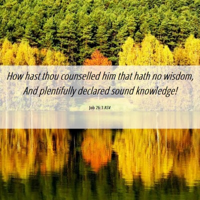 Picture 06 - Job 26:3 ASV - How hast thou counselled him that hath no wisdom, - Bible Verse Picture