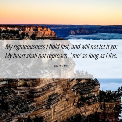 Picture 06 - Job 27:6 ASV - My righteousness I hold fast, and will not let it - Bible Verse Picture