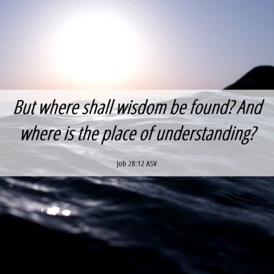 Picture 06 - Job 28:12 ASV - But where shall wisdom be found? And where is the - Bible Verse Picture