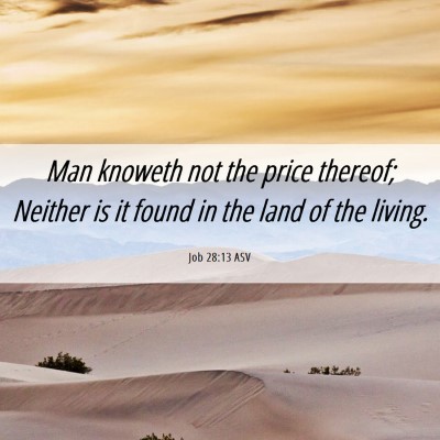 Picture 06 - Job 28:13 ASV - Man knoweth not the price thereof; Neither is it - Bible Verse Picture