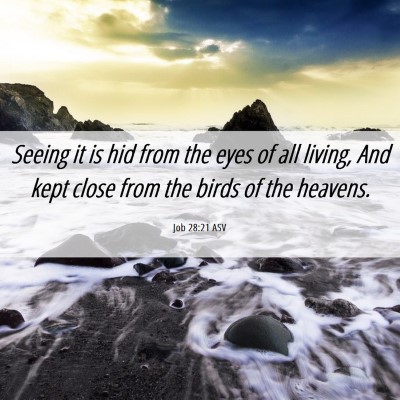 Picture 06 - Job 28:21 ASV - Seeing it is hid from the eyes of all living, And - Bible Verse Picture
