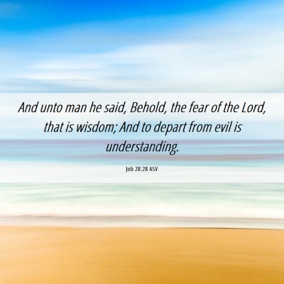 Picture 06 - Job 28:28 ASV - And unto man he said, Behold, the fear of the - Bible Verse Picture