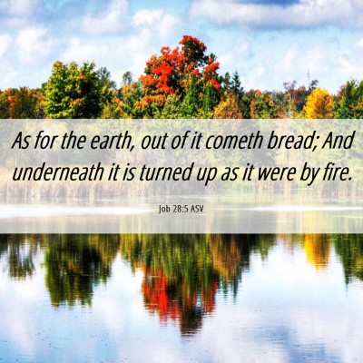 Picture 06 - Job 28:5 ASV - As for the earth, out of it cometh bread; And - Bible Verse Picture
