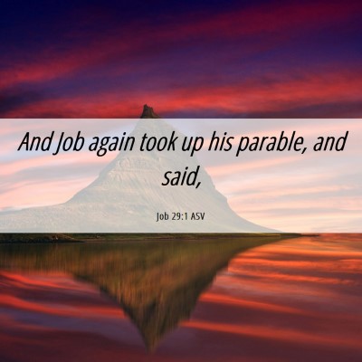 Picture 06 - Job 29:1 ASV - And Job again took up his parable, and - Bible Verse Picture