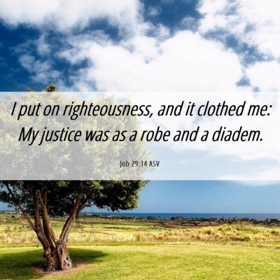 Picture 06 - Job 29:14 ASV - I put on righteousness, and it clothed me: My - Bible Verse Picture