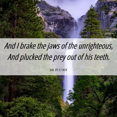 Picture 06 - Job 29:17 ASV - And I brake the jaws of the unrighteous, And - Bible Verse Picture