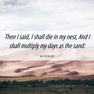 Picture 06 - Job 29:18 ASV - Then I said, I shall die in my nest, And I shall - Bible Verse Picture