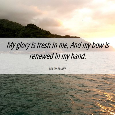 Picture 06 - Job 29:20 ASV - My glory is fresh in me, And my bow is renewed in - Bible Verse Picture