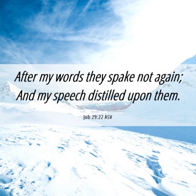 Picture 06 - Job 29:22 ASV - After my words they spake not again; And my - Bible Verse Picture