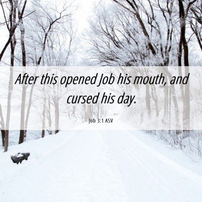 Picture 06 - Job 3:1 ASV - After this opened Job his mouth, and cursed his - Bible Verse Picture