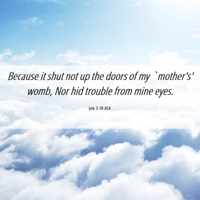 Picture 06 - Job 3:10 ASV - Because it shut not up the doors of my `mother's' - Bible Verse Picture