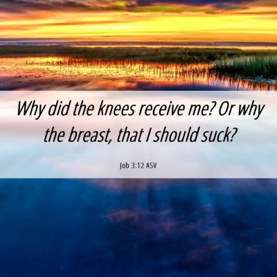Picture 06 - Job 3:12 ASV - Why did the knees receive me? Or why the breast, - Bible Verse Picture