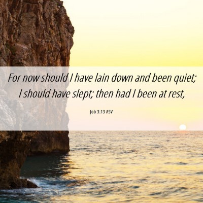 Picture 06 - Job 3:13 ASV - For now should I have lain down and been quiet; I - Bible Verse Picture