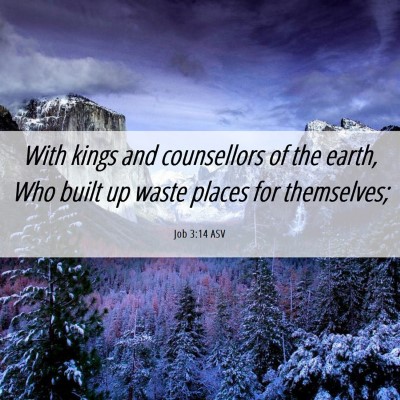 Picture 06 - Job 3:14 ASV - With kings and counsellors of the earth, Who - Bible Verse Picture