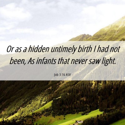 Picture 06 - Job 3:16 ASV - Or as a hidden untimely birth I had not been, As - Bible Verse Picture