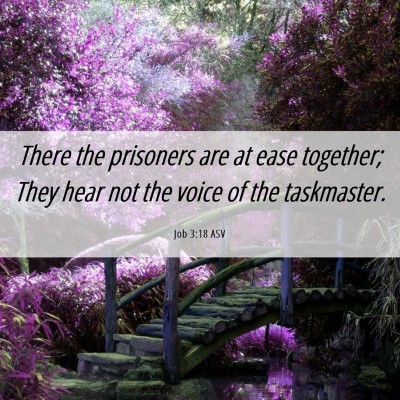 Picture 06 - Job 3:18 ASV - There the prisoners are at ease together; They - Bible Verse Picture