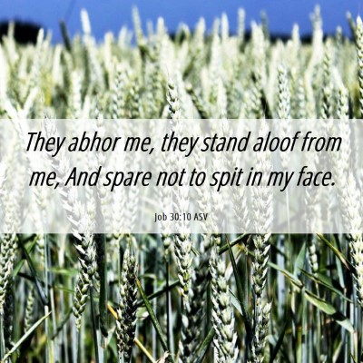 Picture 06 - Job 30:10 ASV - They abhor me, they stand aloof from me, And - Bible Verse Picture
