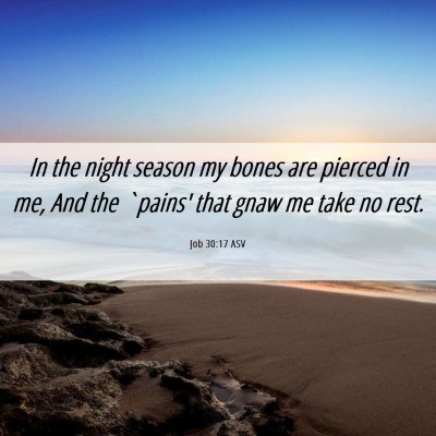 Picture 06 - Job 30:17 ASV - In the night season my bones are pierced in me, - Bible Verse Picture