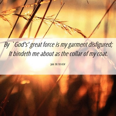 Picture 06 - Job 30:18 ASV - By `God's' great force is my garment disfigured; - Bible Verse Picture