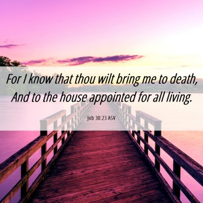 Picture 06 - Job 30:23 ASV - For I know that thou wilt bring me to death, And - Bible Verse Picture