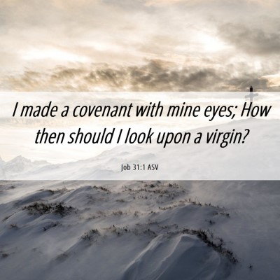Picture 06 - Job 31:1 ASV - I made a covenant with mine eyes; How then should - Bible Verse Picture
