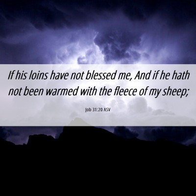 Picture 06 - Job 31:20 ASV - If his loins have not blessed me, And if he hath - Bible Verse Picture