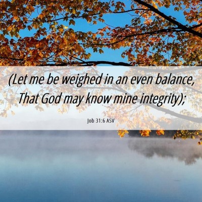 Picture 06 - Job 31:6 ASV - (Let me be weighed in an even balance, That God - Bible Verse Picture
