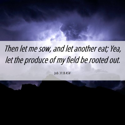 Picture 06 - Job 31:8 ASV - Then let me sow, and let another eat; Yea, let - Bible Verse Picture