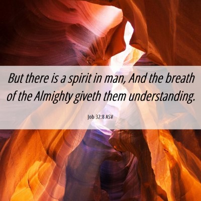 Picture 06 - Job 32:8 ASV - But there is a spirit in man, And the breath of - Bible Verse Picture