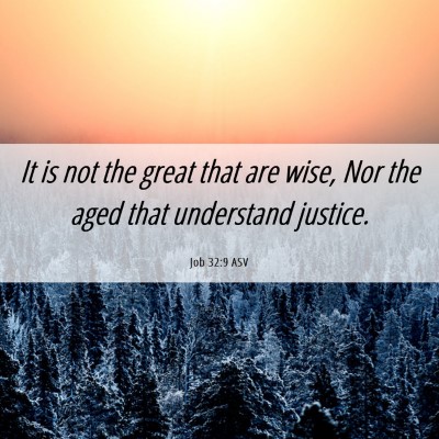 Picture 06 - Job 32:9 ASV - It is not the great that are wise, Nor the aged - Bible Verse Picture