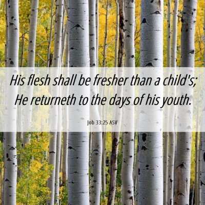 Picture 06 - Job 33:25 ASV - His flesh shall be fresher than a child's; He - Bible Verse Picture