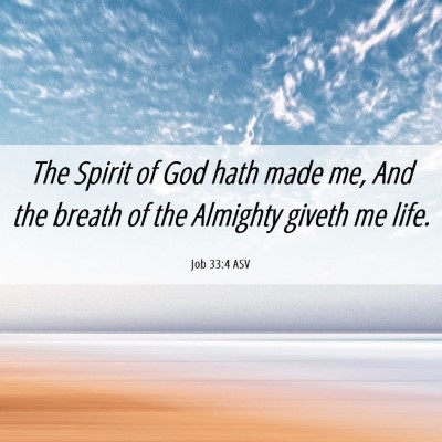 Picture 06 - Job 33:4 ASV - The Spirit of God hath made me, And the breath of - Bible Verse Picture