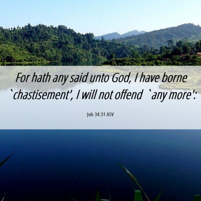 Picture 06 - Job 34:31 ASV - For hath any said unto God, I have borne - Bible Verse Picture