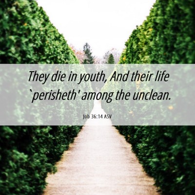 Picture 06 - Job 36:14 ASV - They die in youth, And their life `perisheth' - Bible Verse Picture