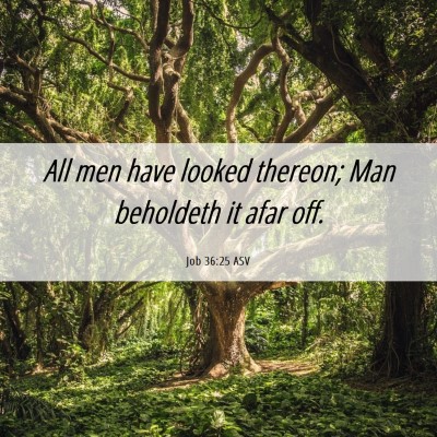 Picture 06 - Job 36:25 ASV - All men have looked thereon; Man beholdeth it - Bible Verse Picture