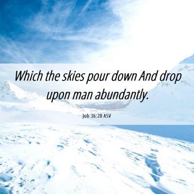 Picture 06 - Job 36:28 ASV - Which the skies pour down And drop upon man - Bible Verse Picture